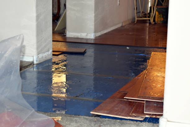 Professional Water Damage technician working in Schulenburg, TX